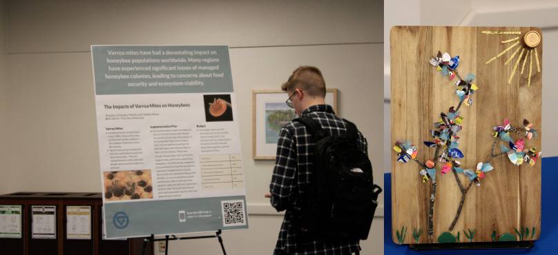 student viewing a peer's project